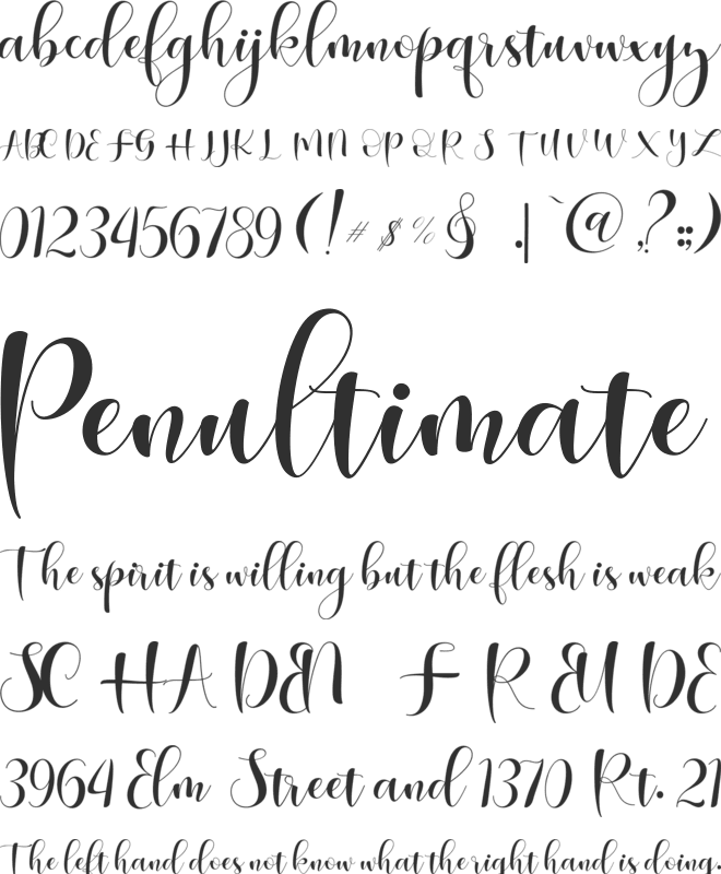 Begokly font preview