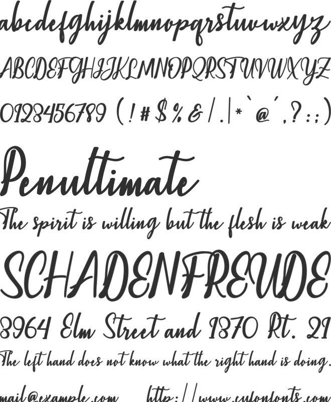 Christopher Script font preview