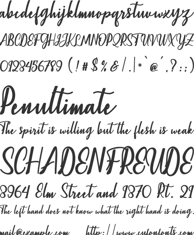 Christopher Script font preview