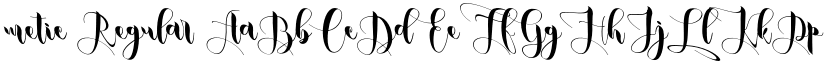 metic Regular font