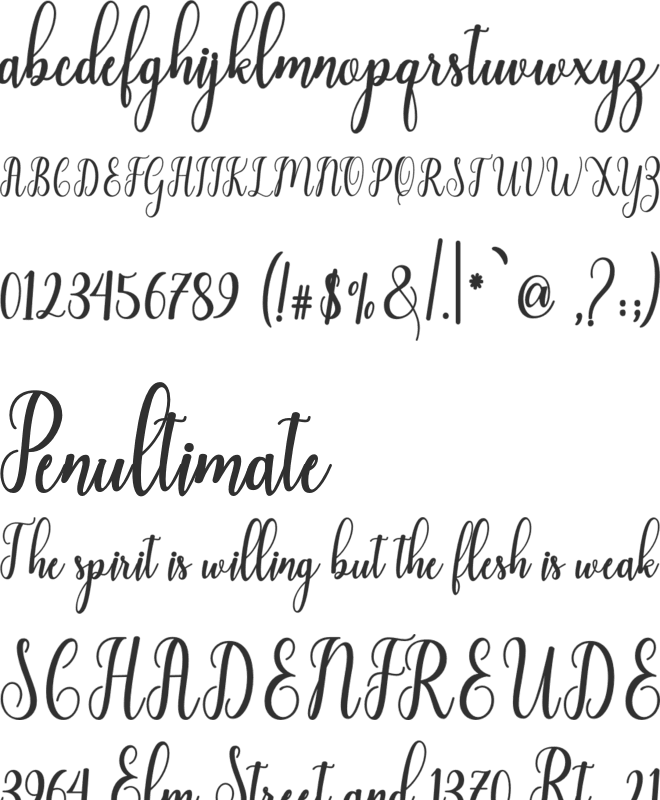 Liontine Script font preview
