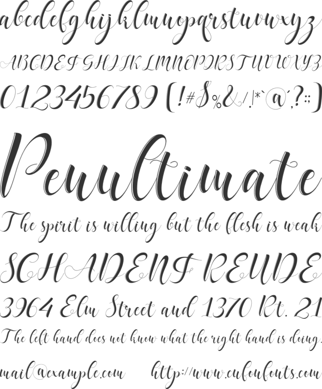 delaney font preview