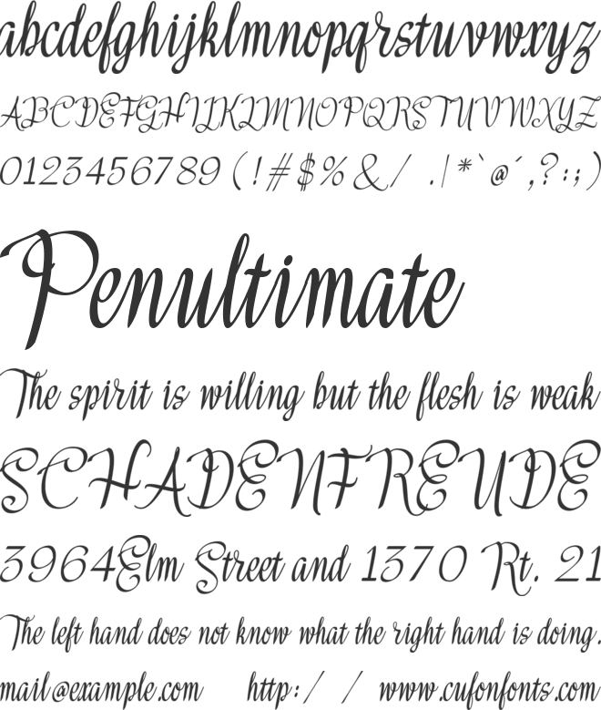 Meikayla script font preview