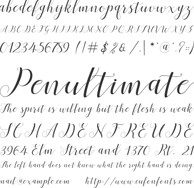 Menttion Script font preview