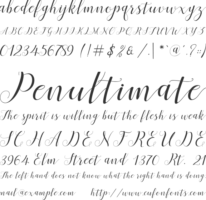 Menttion Script font preview