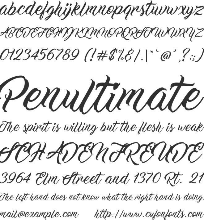 Work In Progress font preview