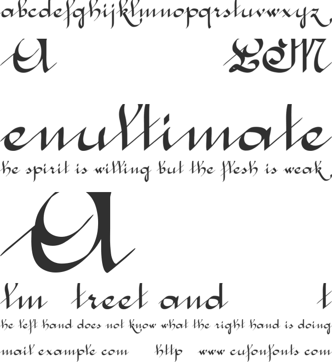 McLeona font preview