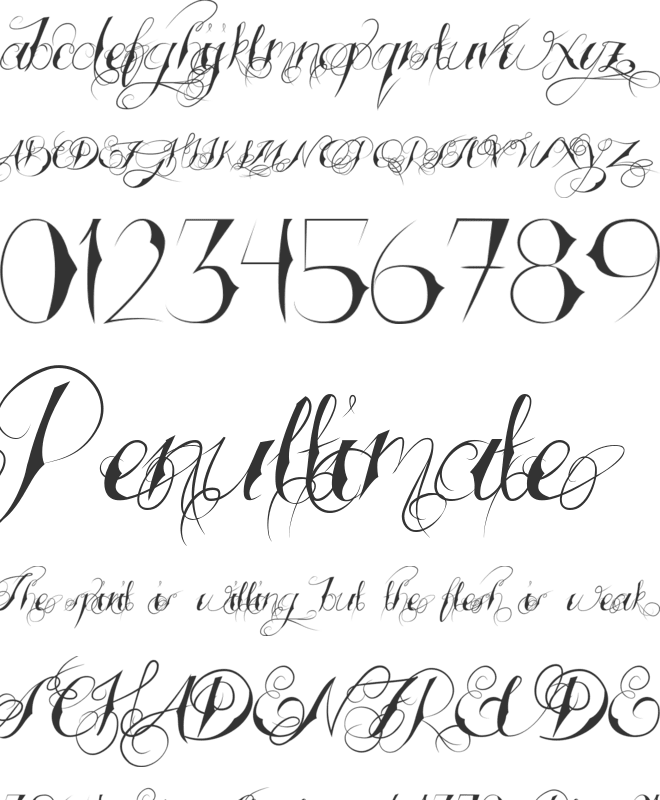 Tattooed Wedding font preview