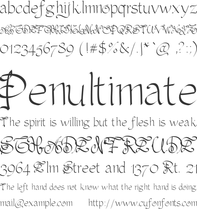 PWOrnaments font preview