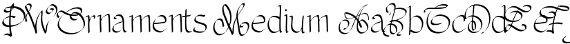 PWOrnaments Medium font