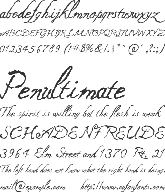 Caligraf 1435 font preview
