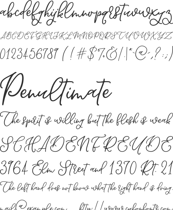 Wildcard font preview
