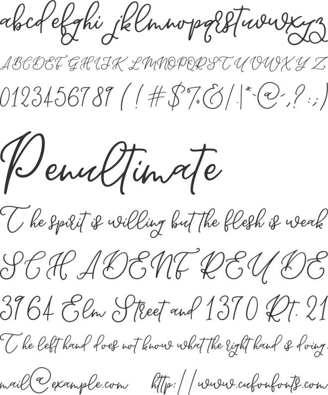 Wildcard font preview