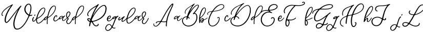 Wildcard Regular font