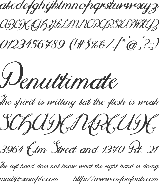Selya font preview