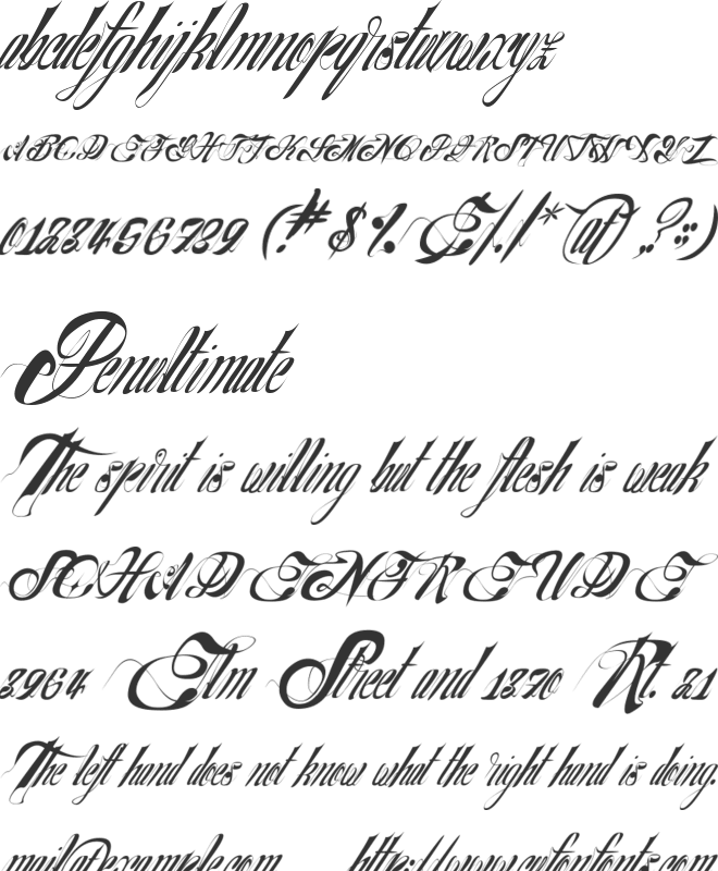 NuevoYork font preview