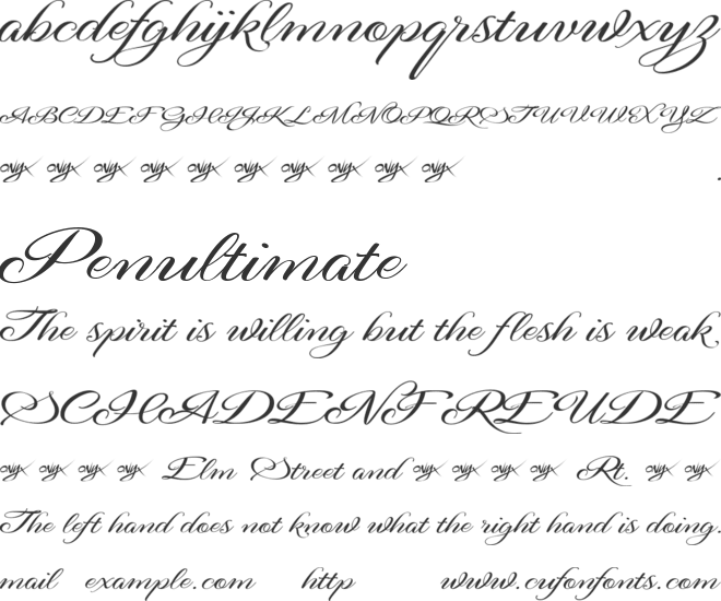 Signarita Anne font preview