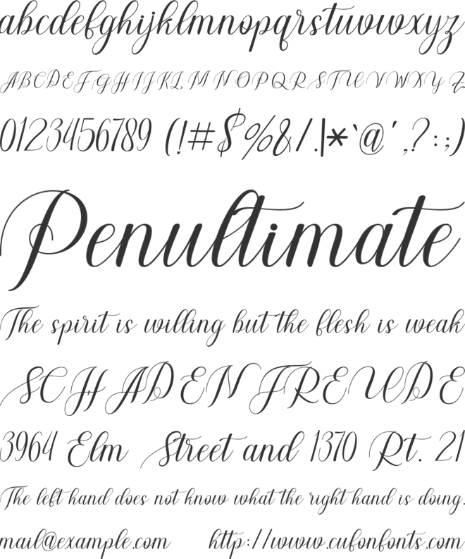 Genta Font font preview