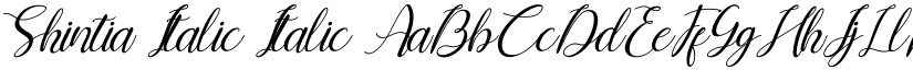 Shintia Italic Italic font
