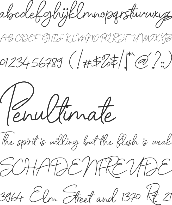 Nellyta font preview