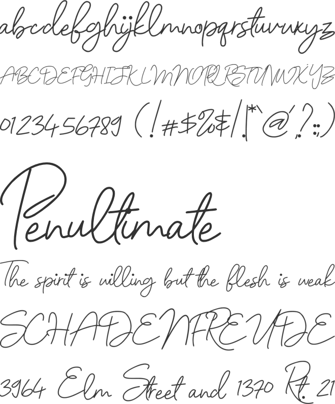 Nellyta font preview