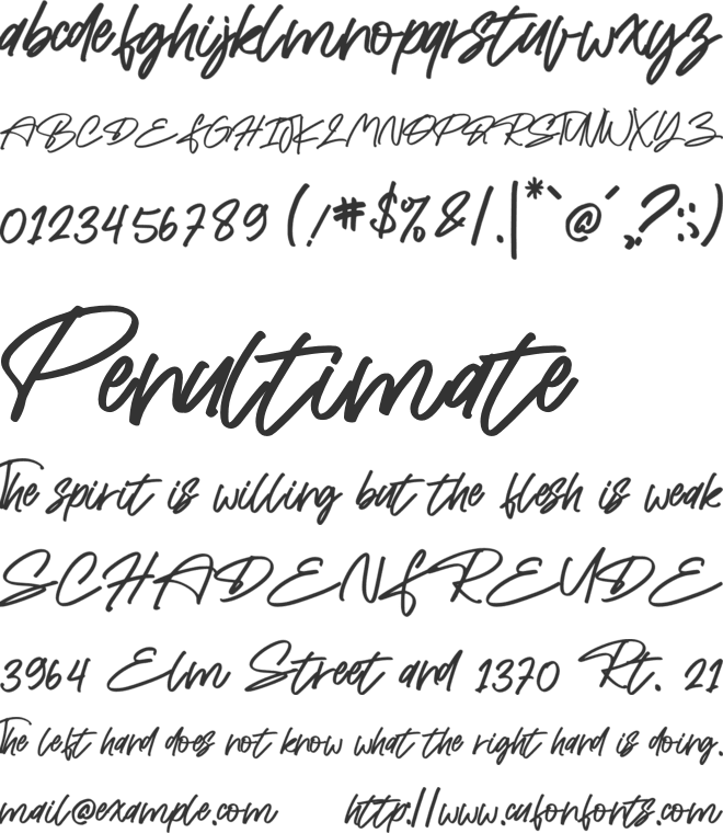 Belisha font preview