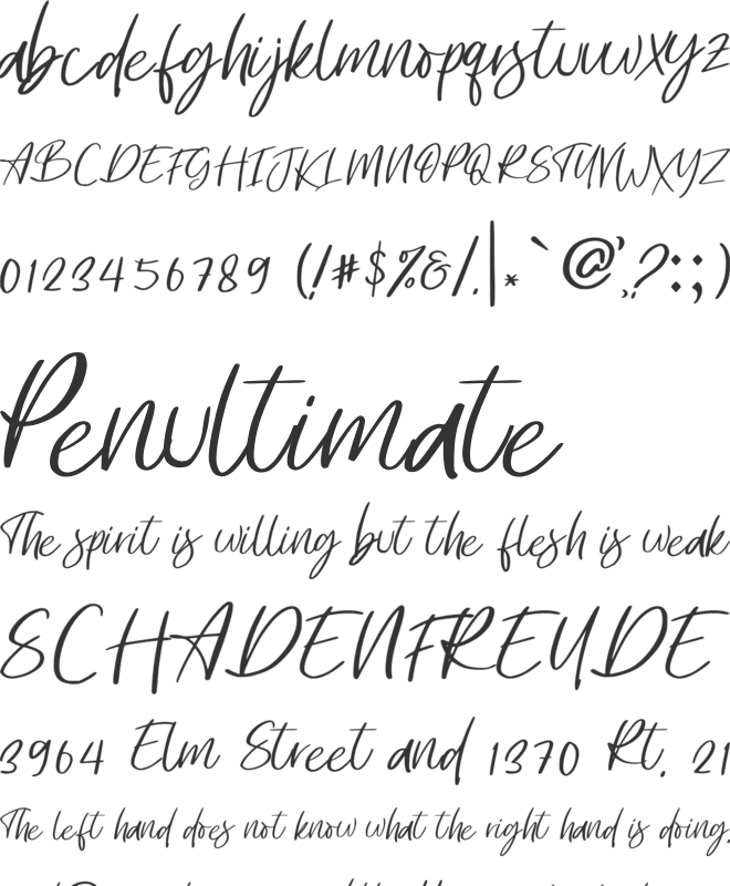 Renaldi font preview