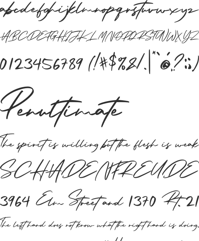 Arista Signature font preview