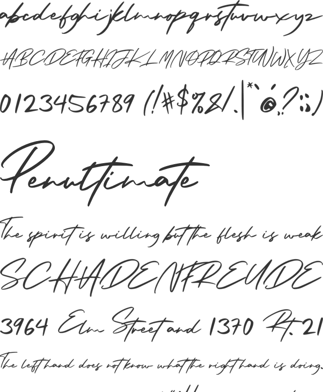 Arista Signature font preview