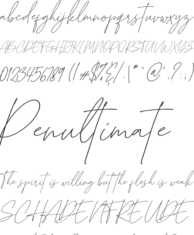 Brittish Shorthair font preview