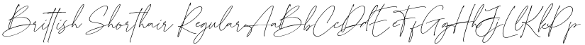 Brittish Shorthair Regular font