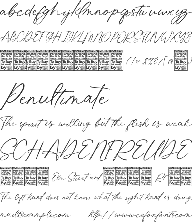 Shatoshi Signature font preview