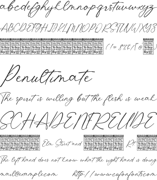 Shatoshi Signature font preview