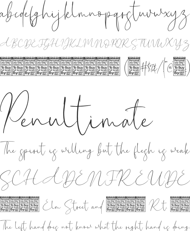 New York Signature font preview