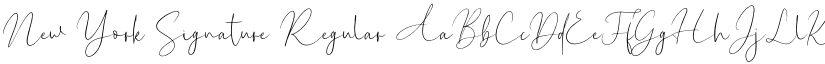 New York Signature Regular font