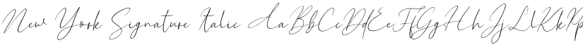 New York Signature Italic font