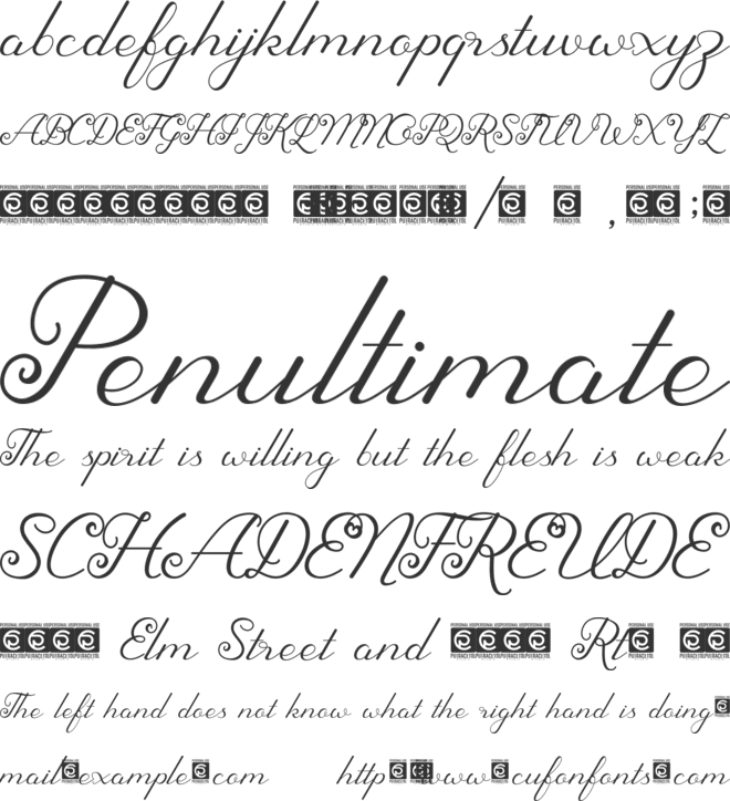 Sherley font preview