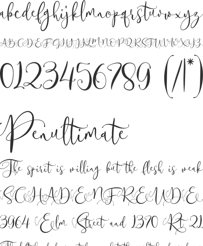 Passquina font preview