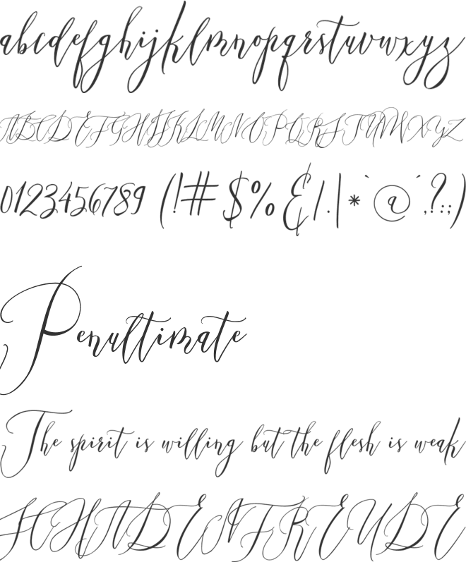 Married Typefaces font preview