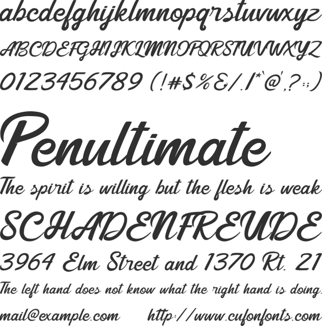 Shining Times font preview