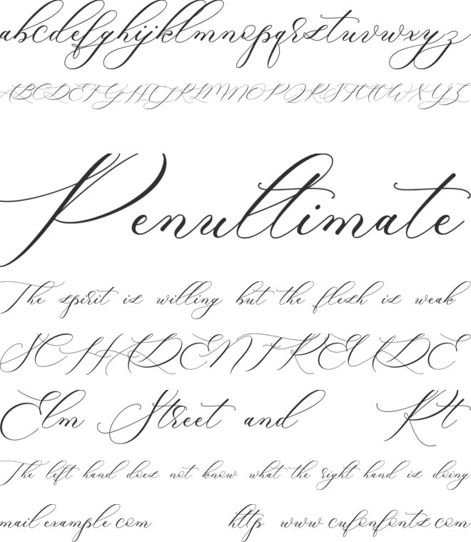 Raja Ampat Script font preview