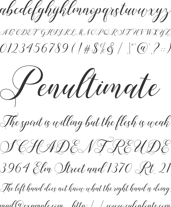 Shailena font preview