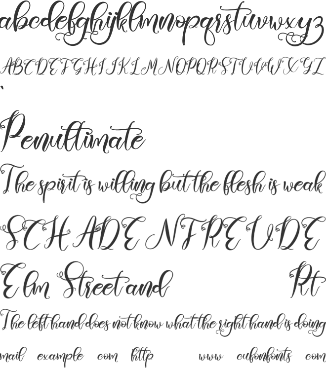 Wellington font preview