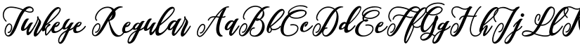 Turkeye Regular font