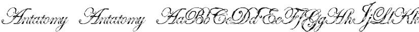 Antatomy Antatomy font