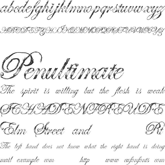 Antatomy font preview