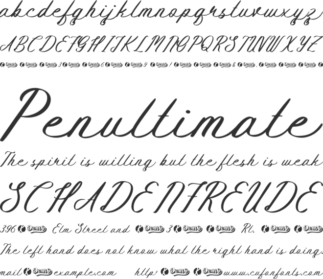 Bendhigola Script font preview