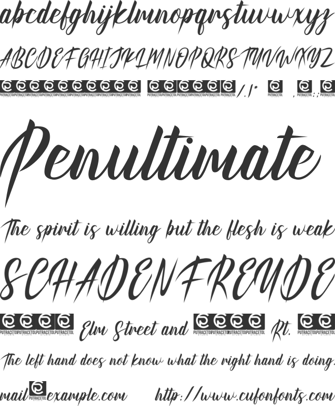 Kinghawk font preview