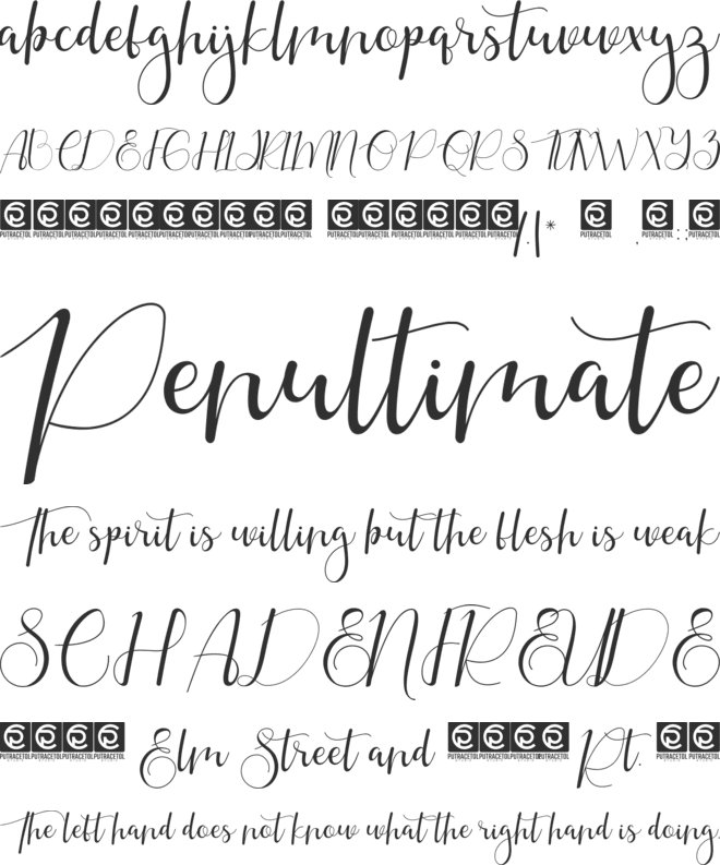 Gayesha font preview