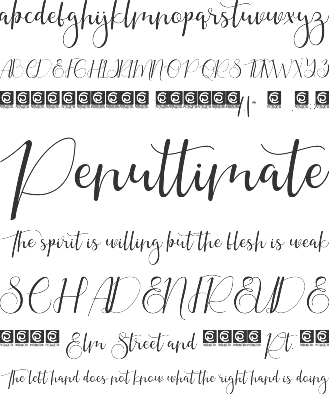 Gayesha font preview